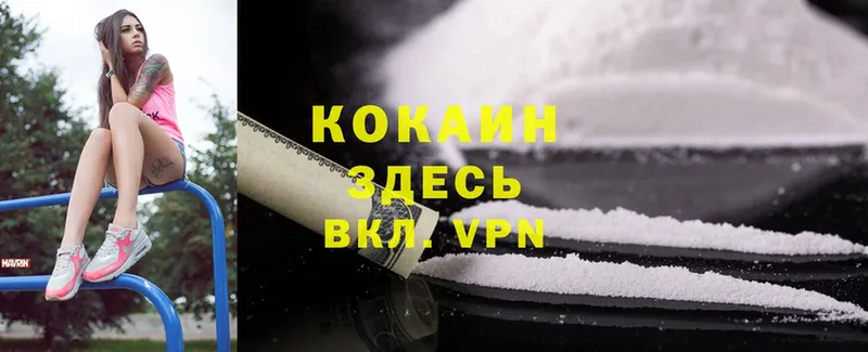 где продают   Орлов  Cocaine VHQ 